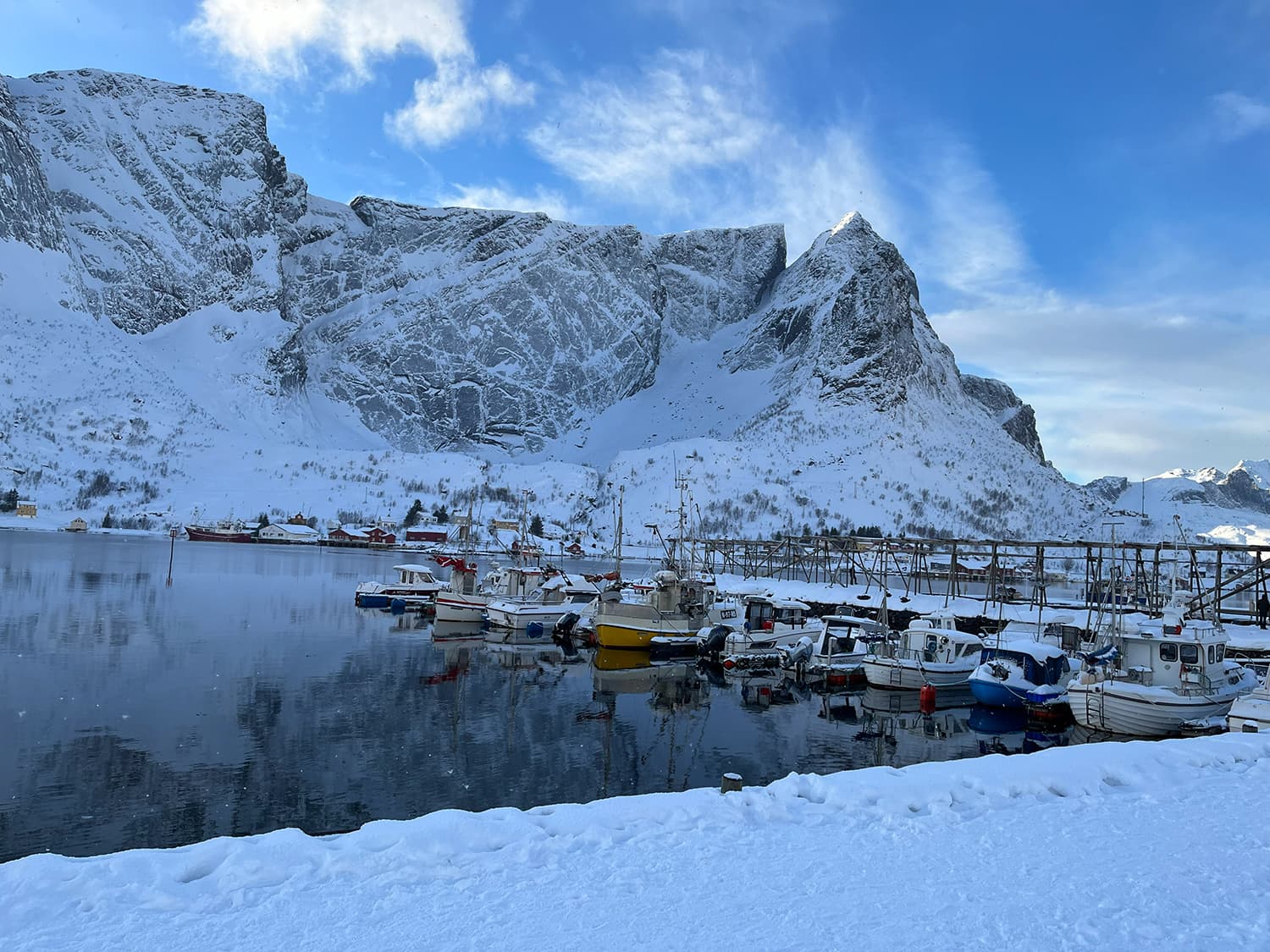 Reine · Lofoten